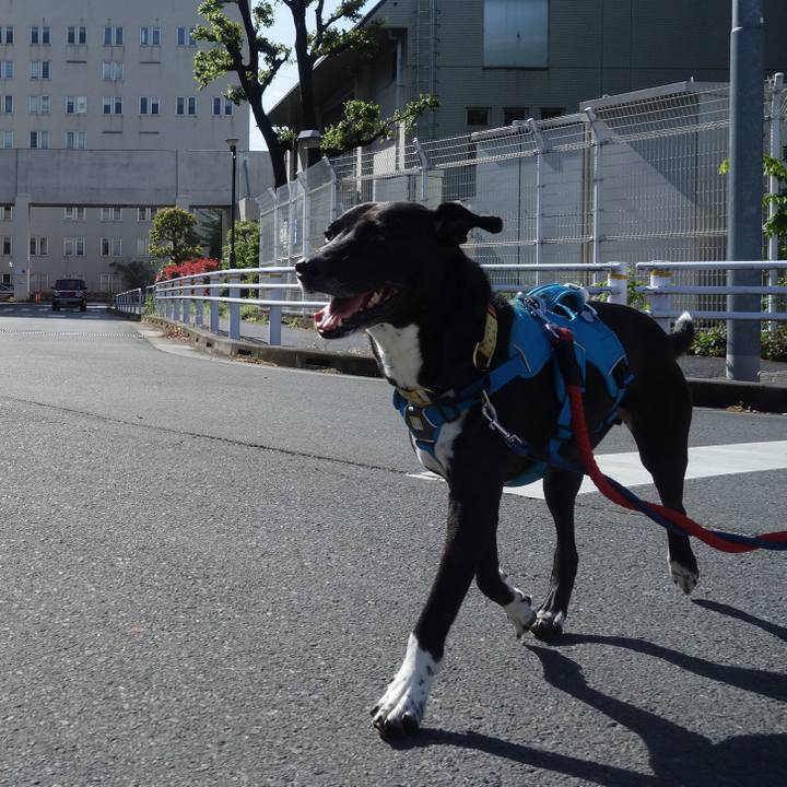 Aab70e1f ec1d 467e ae6a 745d7ff43cf6 1619747278496