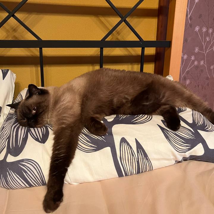 Aab72c49 7fb0 4611 8a51 959ea02a9915 1726189666515