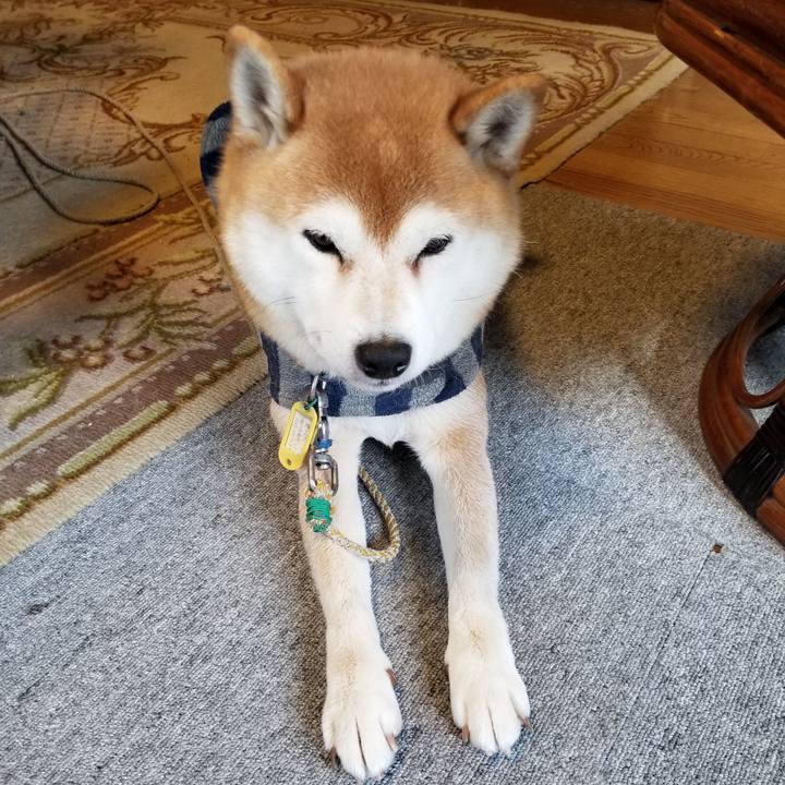 Aab73669 e1b0 4a93 b516 253997c71f32 1579395656019