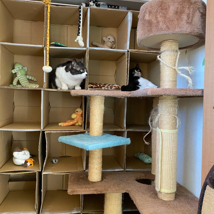 Aab7442e 550a 4e35 90c8 b43b8e306c0d 1610505662930