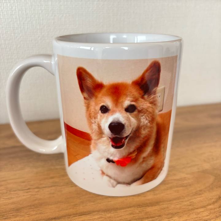 Aab7693d 7e54 4b73 ac3c 38e25ae3a0bc 1762302484049