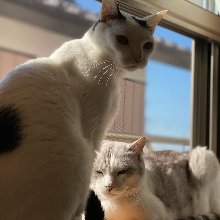 Aab7a27b 3afc 498d 813f 761f6588e487 1616718469973