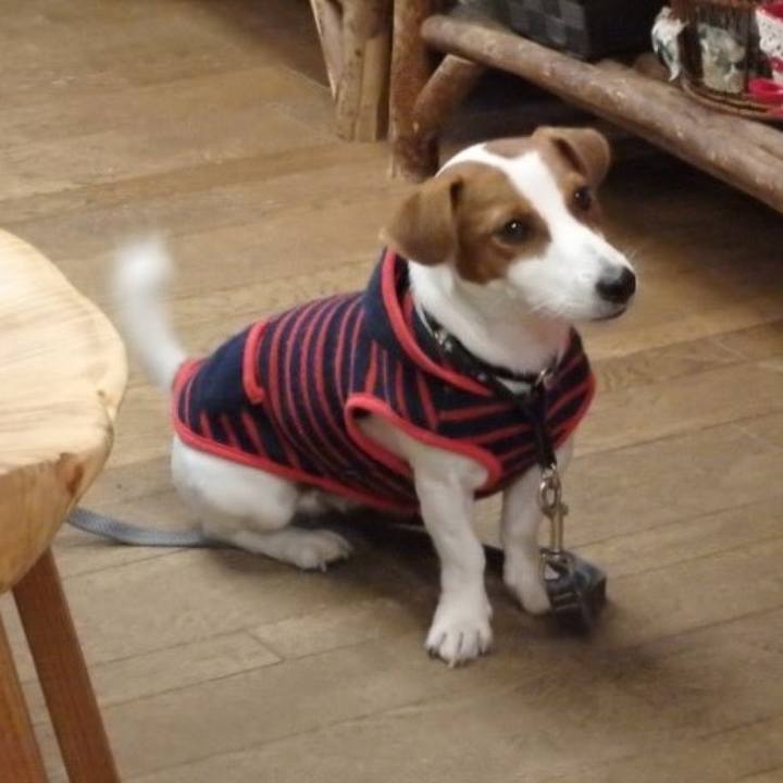 Aab7adeb 6582 481b 841a 6e7869407718 1510821991819