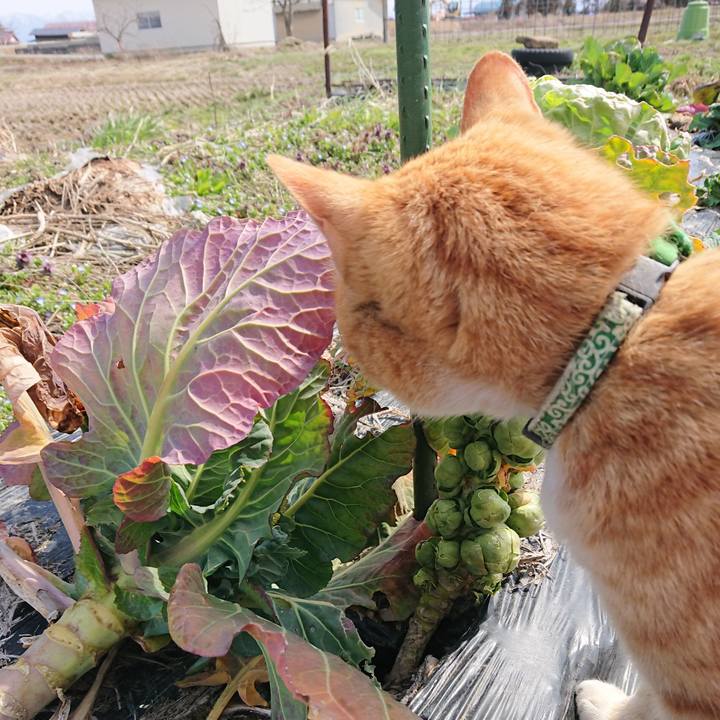 Aab7b4c1 fef5 4826 bde3 92f82a5fe948 1584767717291