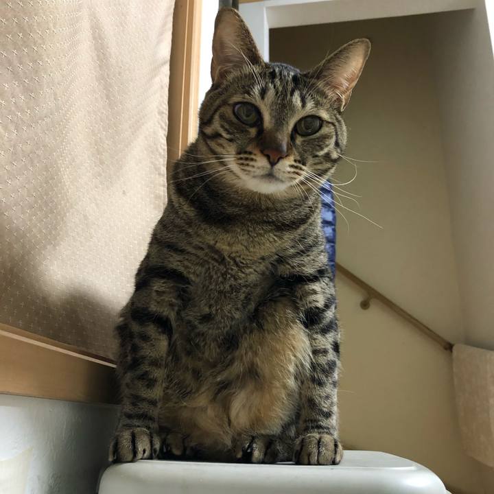 Aab7c0e3 b771 4efa 9060 6ef873ab6fbb 1552945717380