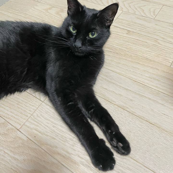 Aab82dd8 2f88 44ab b07b 099e9a1bfb74 1643460912547