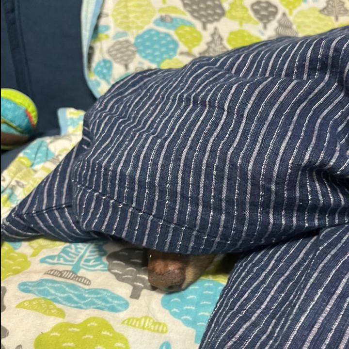 Aab844a5 5c81 4fe5 8f89 704f9fb66690 1755995465024