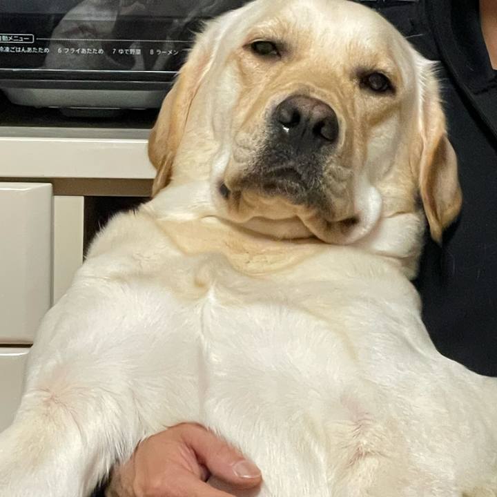 Aab84d92 5bb3 4695 a020 f1cfd678d1b8 1667280310424