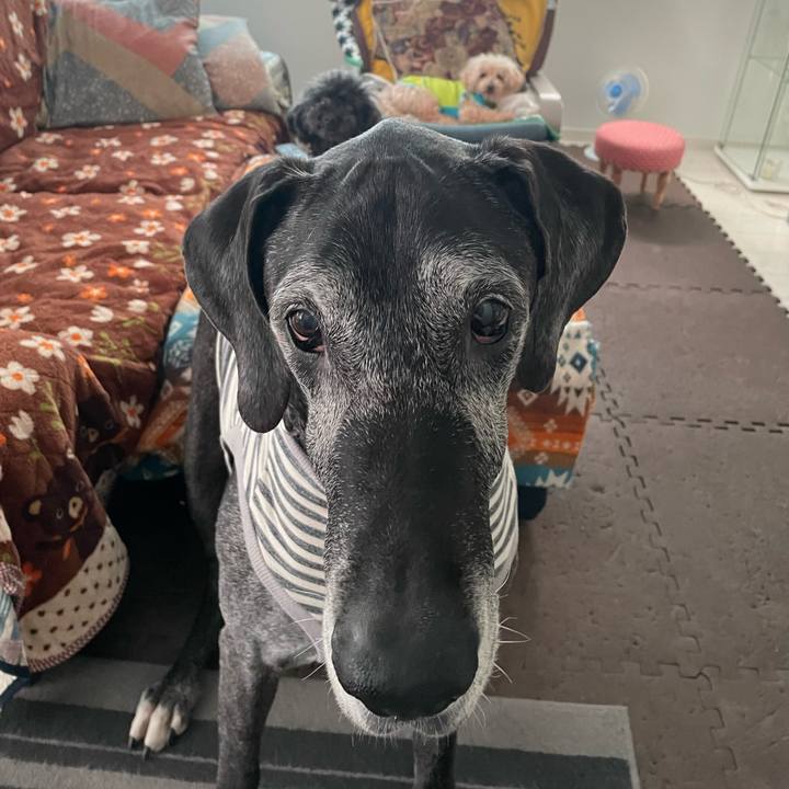 Aab8b578 963a 45bd 953f c989b027eeba 1649372112017