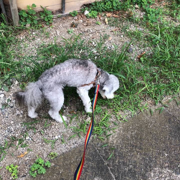 Aab8fedc 6dee 4205 9d0d 63d6e5ec6e40 1567646356761