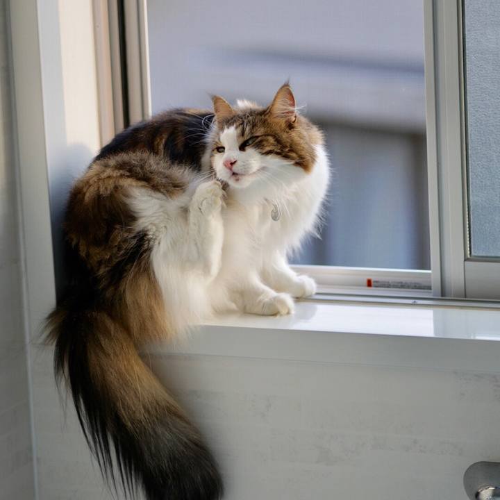 Aab91577 91aa 45c9 b47b 9294a933f73b 1569486642484