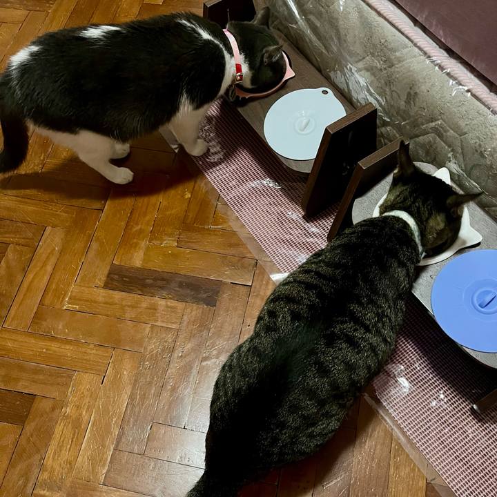 Aab92753 6b05 45da ab31 9947b3a045b4 1774779906789