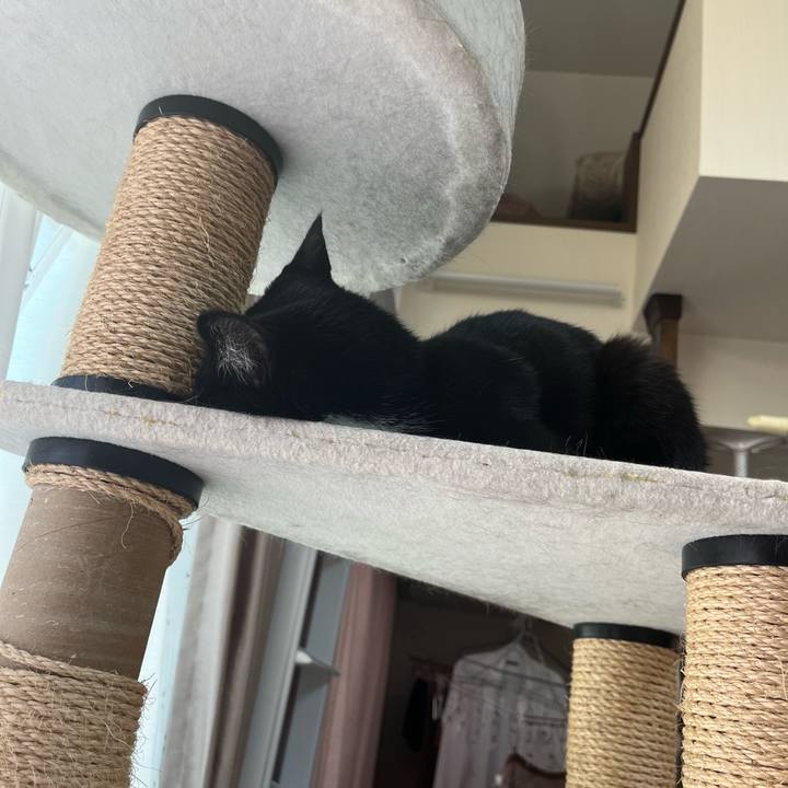 Aab93d71 53ab 4535 b1eb b2f5215b6e16 1717569123236