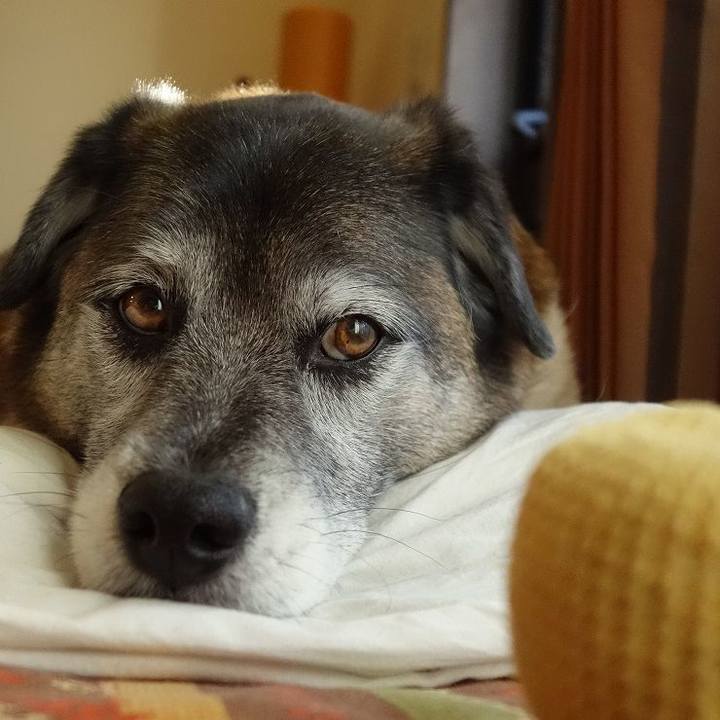 Aab95781 f1f2 4ac9 8616 92e40112a009 1520246364342