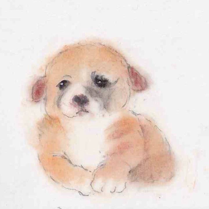 Aab992d2 e906 4f78 b8d0 c825a09354da 1662272350707