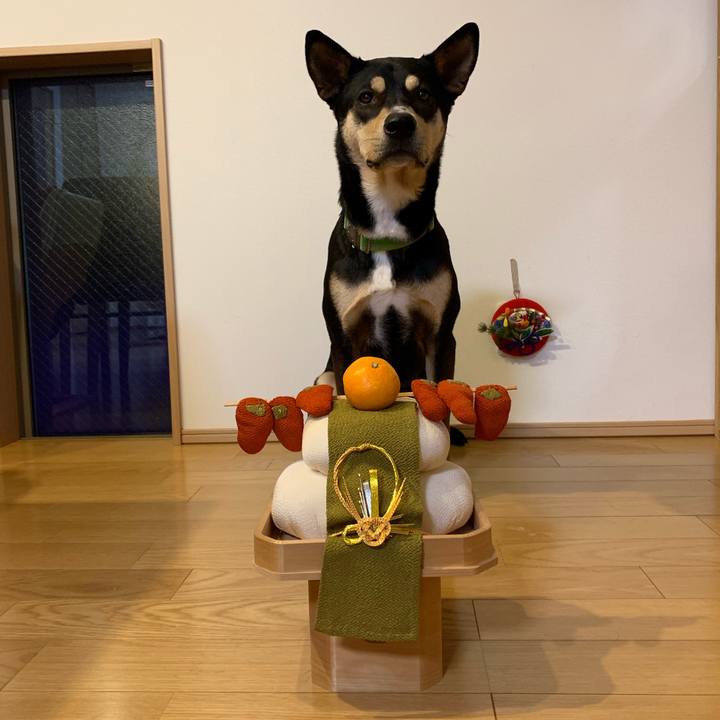 Aab995ca 2290 4f50 b973 8f76ef33c52a 1546352985413