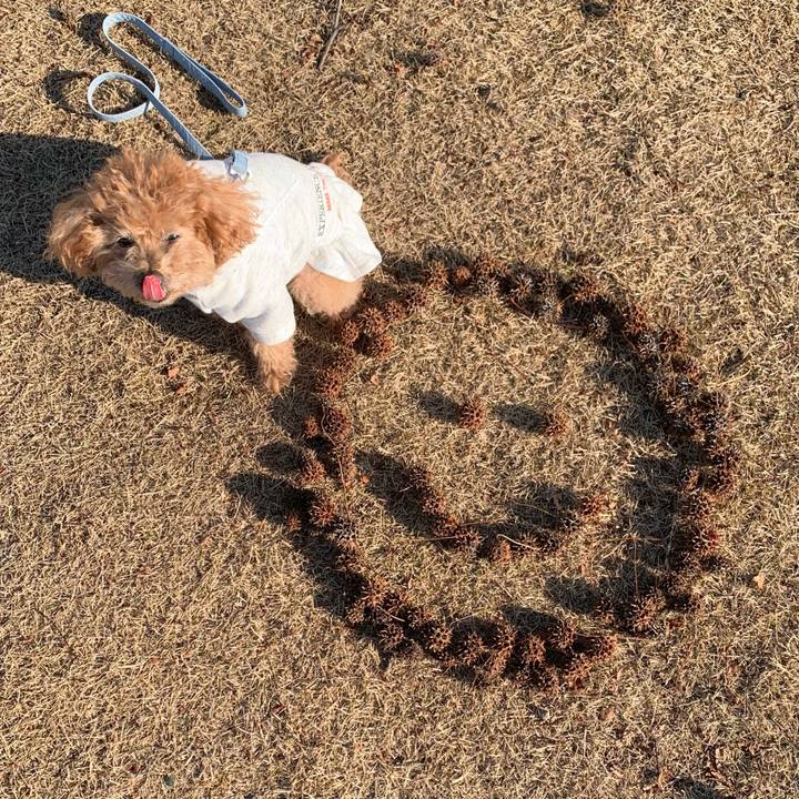 Aab9a8d0 7cb6 4ccb b687 572f6764ee6b 1767772334454