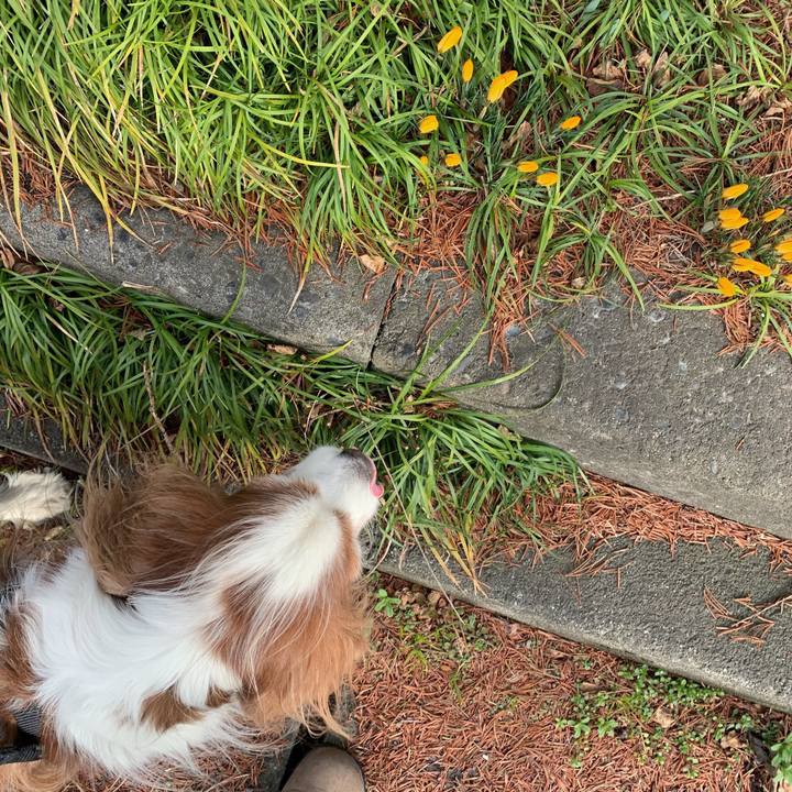 Aab9b3c8 8f9d 4142 9510 21f14f42cb82 1583219102236