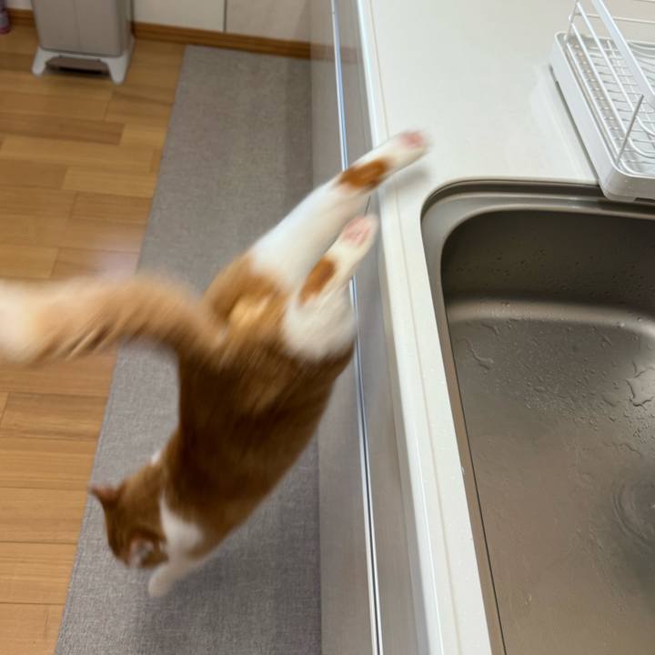 Aab9d1b8 6443 4c0f 824e af68d8dc2a9f 1768271056073