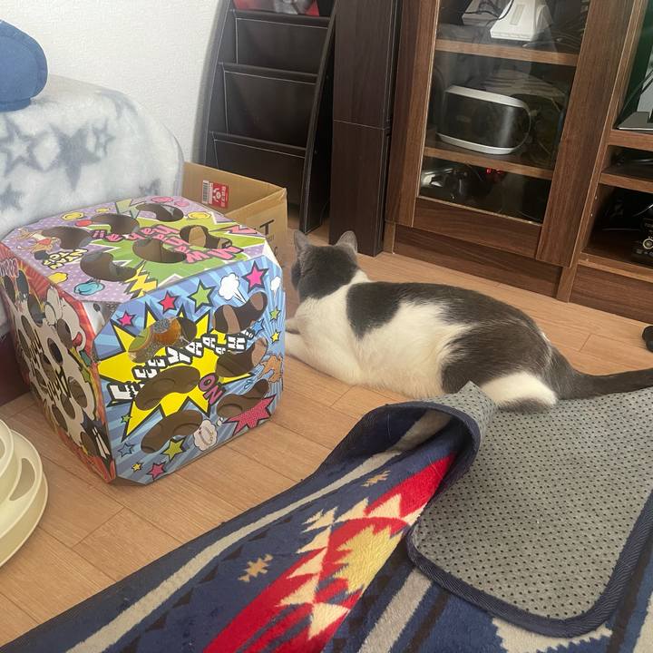 Aab9f84d 9de1 43b9 8c1c b6e9685a1aea 1633229960501