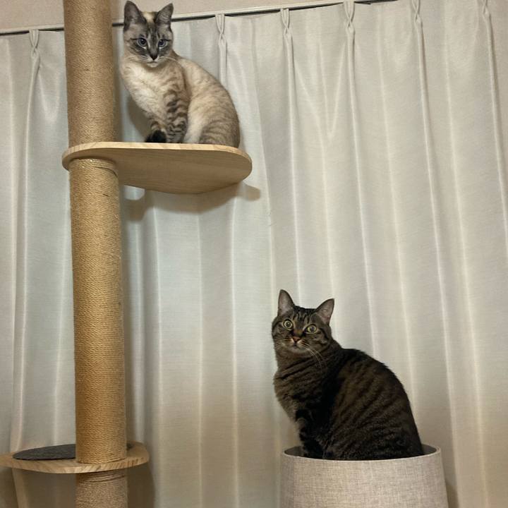 Aaba096e 2c28 4fe6 a2f9 0d805a76003f 1614164216448