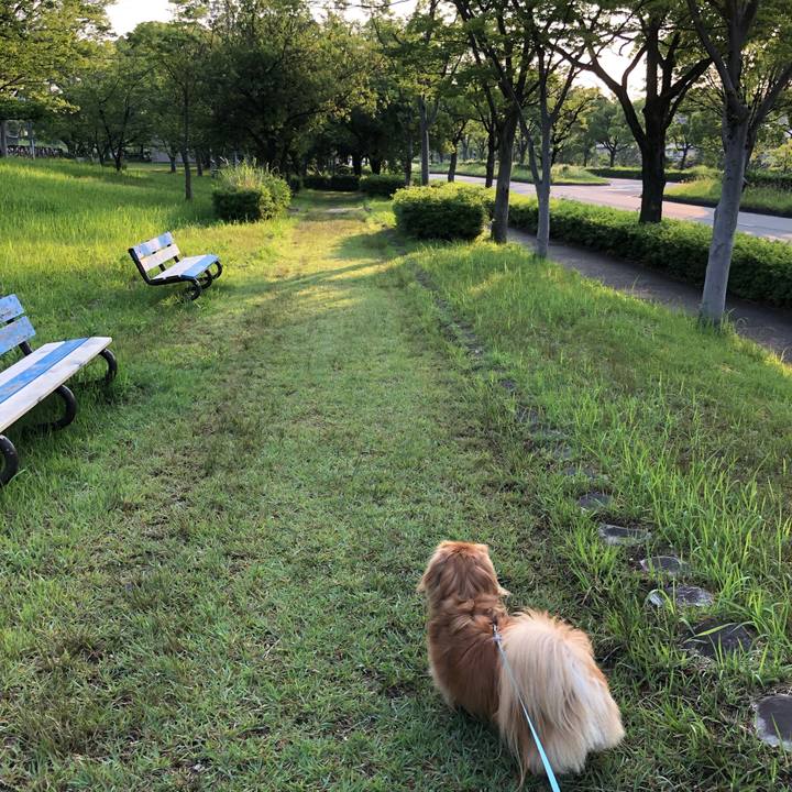 Aaba156f fd3e 4263 8390 b2276dda3a82 1560893813765