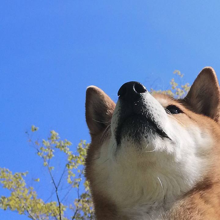 Aaba2b92 b6d1 4e5d bf8e 5cc423977026 1618448008196