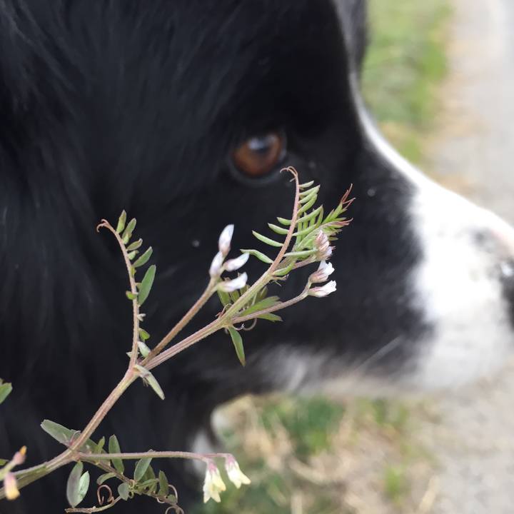 Aaba94b5 41b3 4195 a50c 3c96d4278459 1583537478540