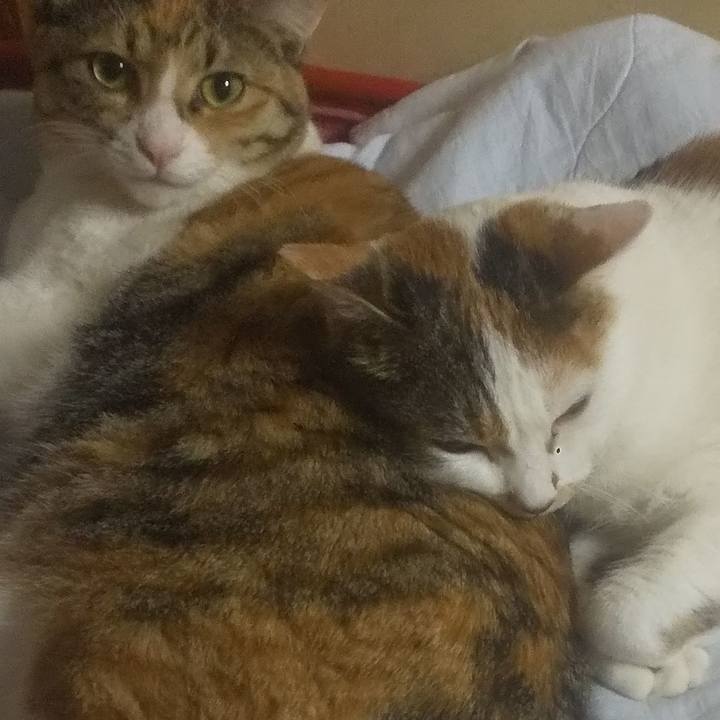 Aabaa32c e71e 4abb 8f80 4056f29d70c5 1745844923542