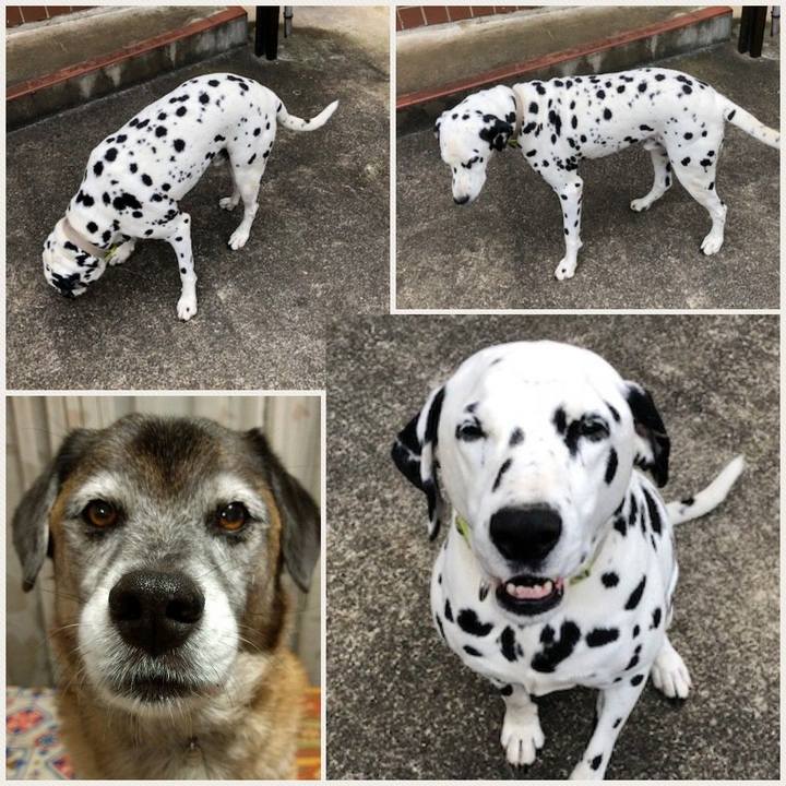 Aabad04a 28c9 44b2 b6ca f4e72082ab1e 1539734375909