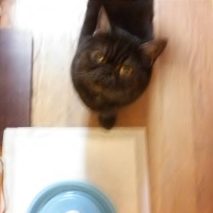 Aabaec8c bd9a 4290 bc5b 9edfd62b7aa3 1554627399779