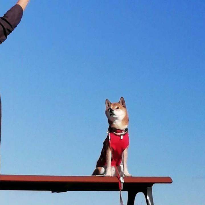 Aabb6533 ca85 4a37 8ae8 098dfa0846ef 1639998968679