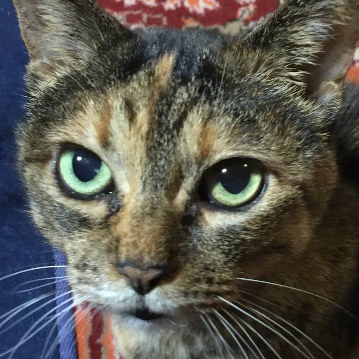 Aabb8dfa e1f3 4a3e ae30 40a09400b682 1549778777327