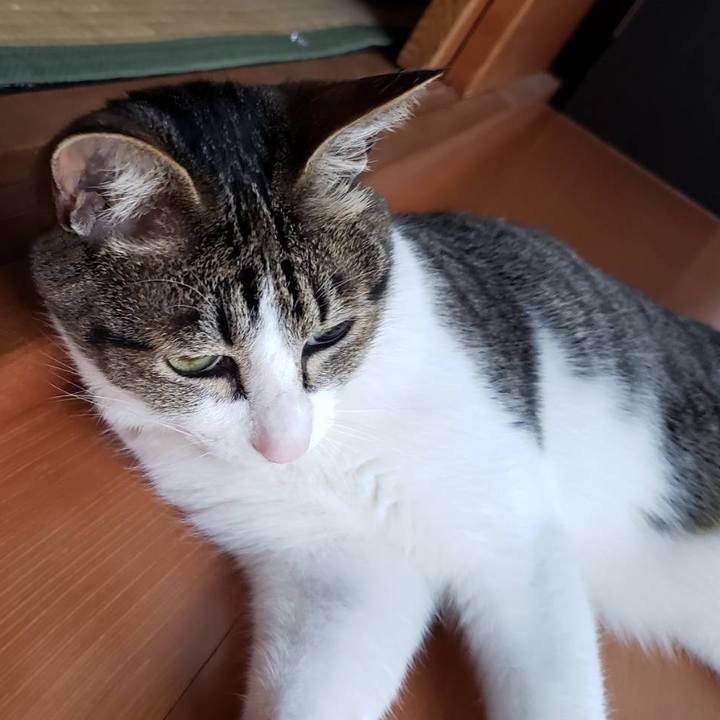 Aabbd133 2d93 4327 9cd7 4f1d049bf133 1560001474202