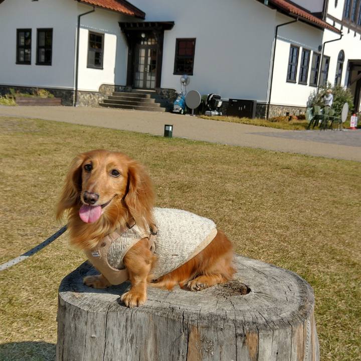 Aabbff52 dc60 49d7 8921 df8a5c50d0f4 1667480509931