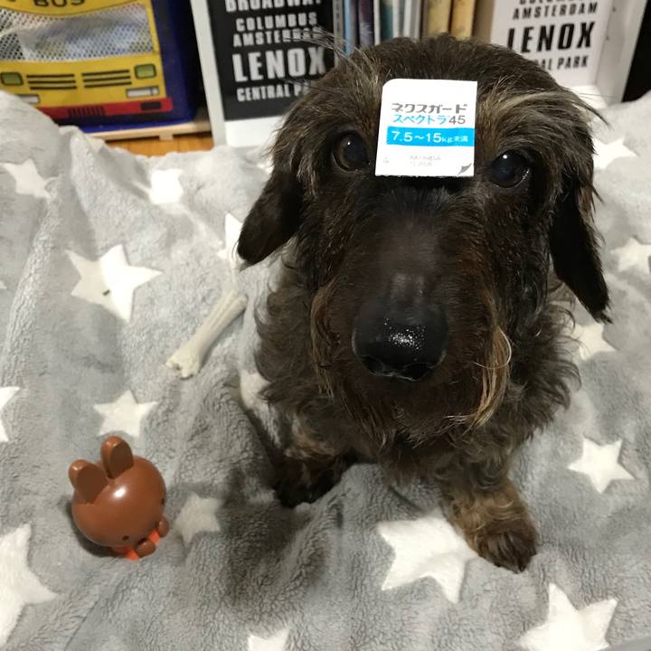 Aabc1265 49e6 49d1 98b6 cf96949707c5 1556720767256