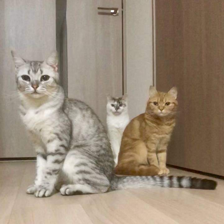 Aabc2e44 1ff1 4fc0 9306 5527455ba205 1530262957054