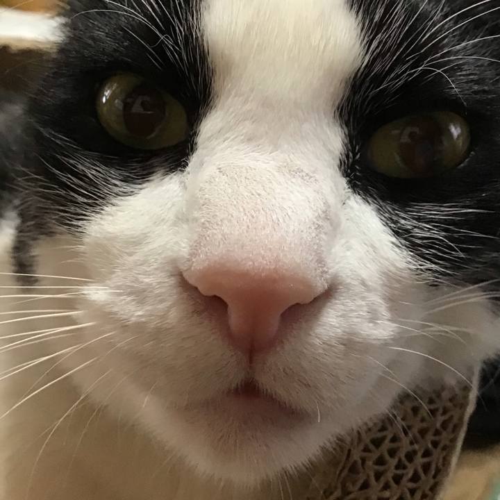 Aabc3a12 75b3 46b4 b55a 574e4f0b42cf 1744016869351