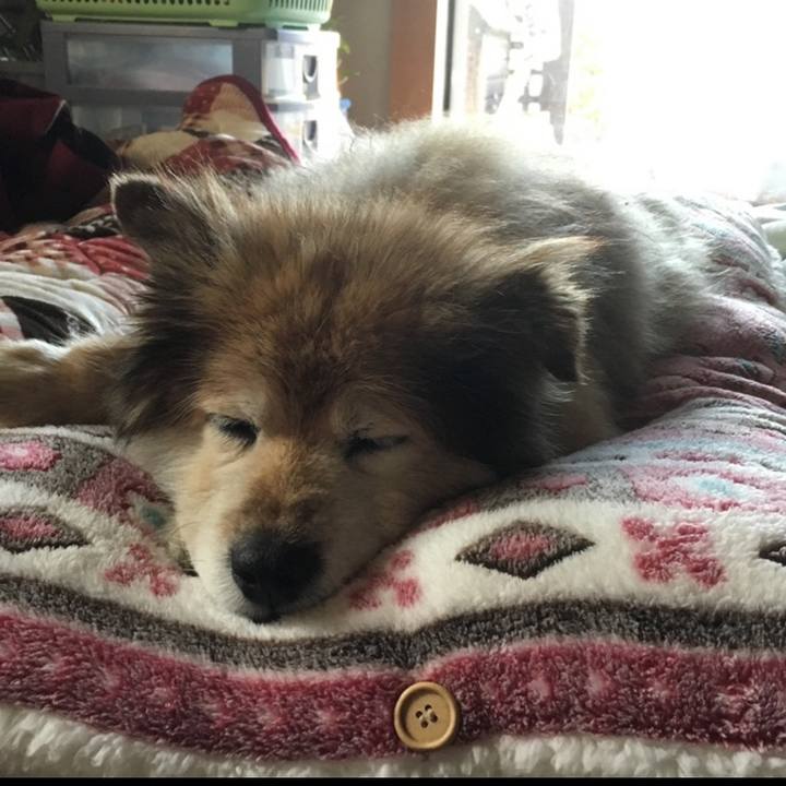 Aabc493a 78a9 491d bdda 476914796da4 1595465917445