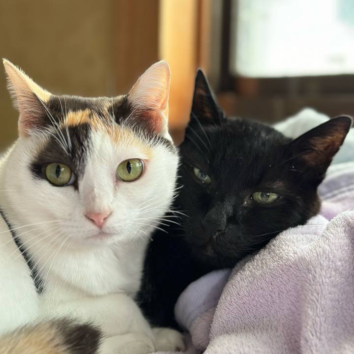 Aabc69b5 a3a0 4a91 9b53 ee6a21c942fe 1699146429759