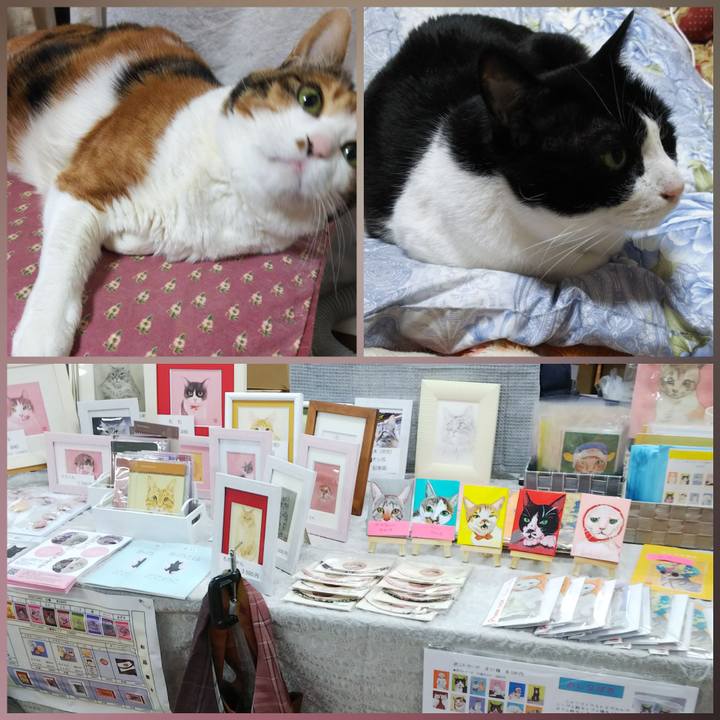 Aabc6e1b aa50 4b11 bbfc d286105a6beb 1551015615841