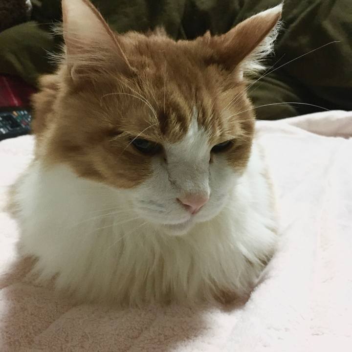 Aabc7636 1fa5 4675 a30a 683c840cce27 1576767909444