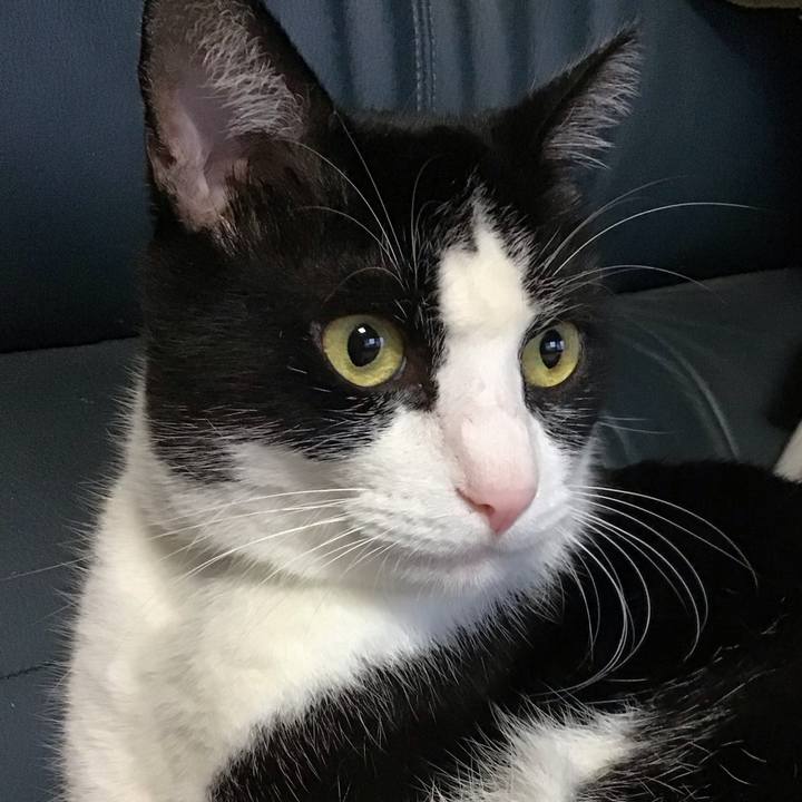 Aabc9fe1 1d35 4e1a 9b17 34bffa155fa8 1725353256193