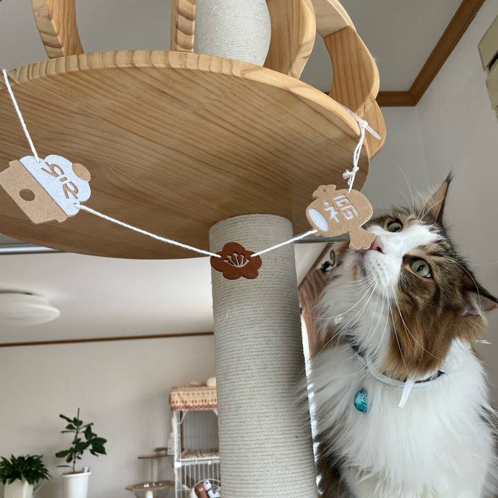 Aabcc43f 7890 4625 ab00 647b75c2ff9f 1735771277765