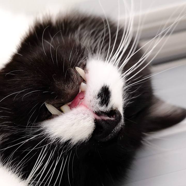 Aabceb3c 722b 43a6 a7f2 c6e730025877 1579535631382