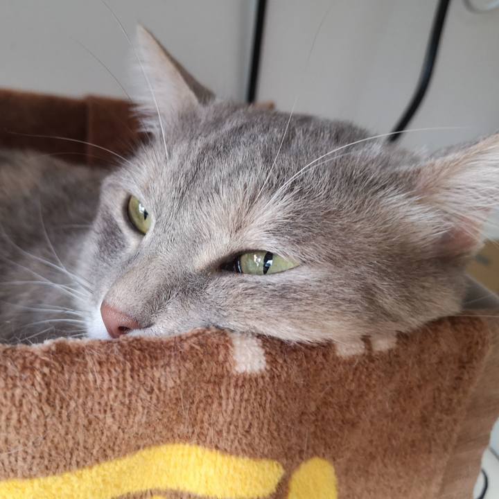 Aabcf4c8 58c2 4bdd af77 85a5e999d444 1591350750396