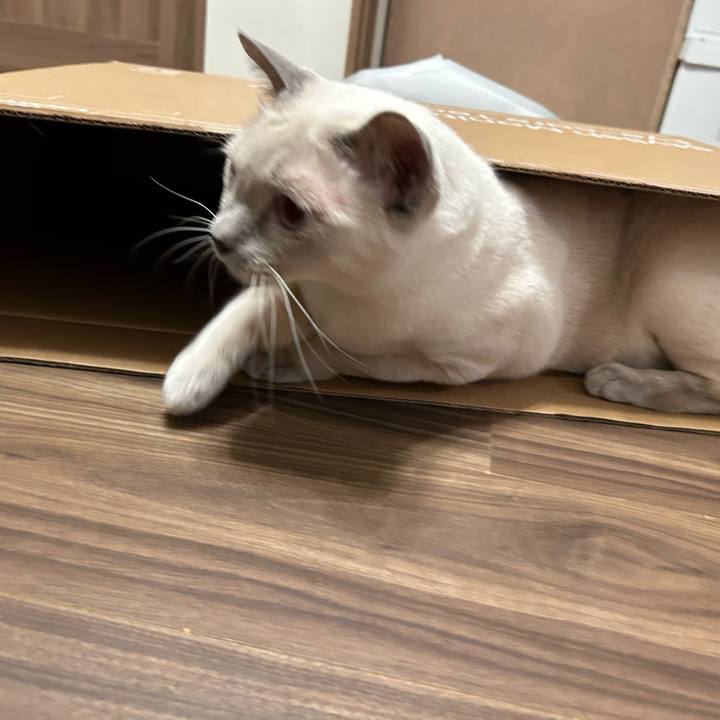 Aabd02ab 93df 4eea ad42 22123071fb56 1737361443523