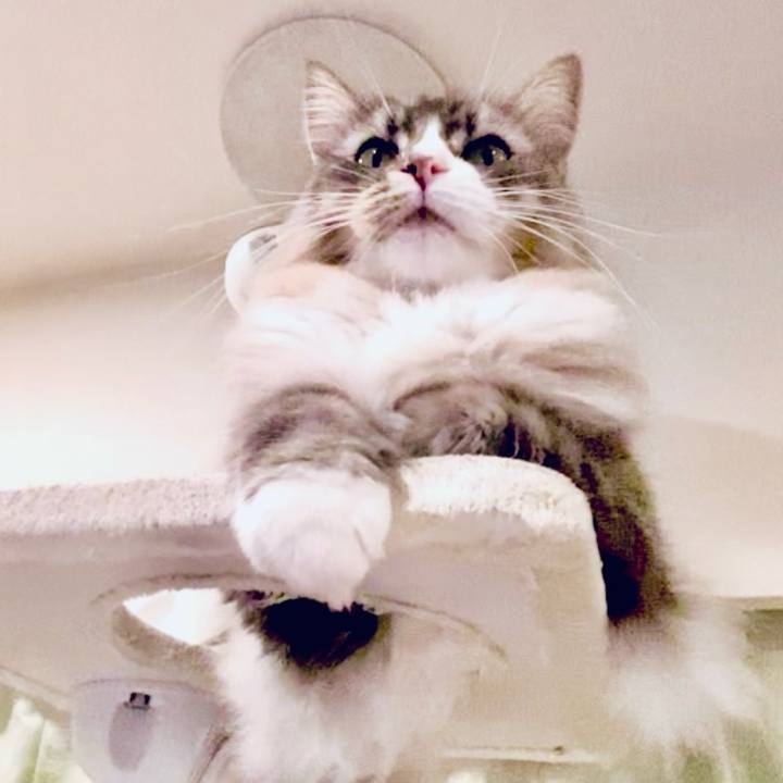 Aabd039f 0c56 40b2 a8c9 24a57fb3349c 1703525766571