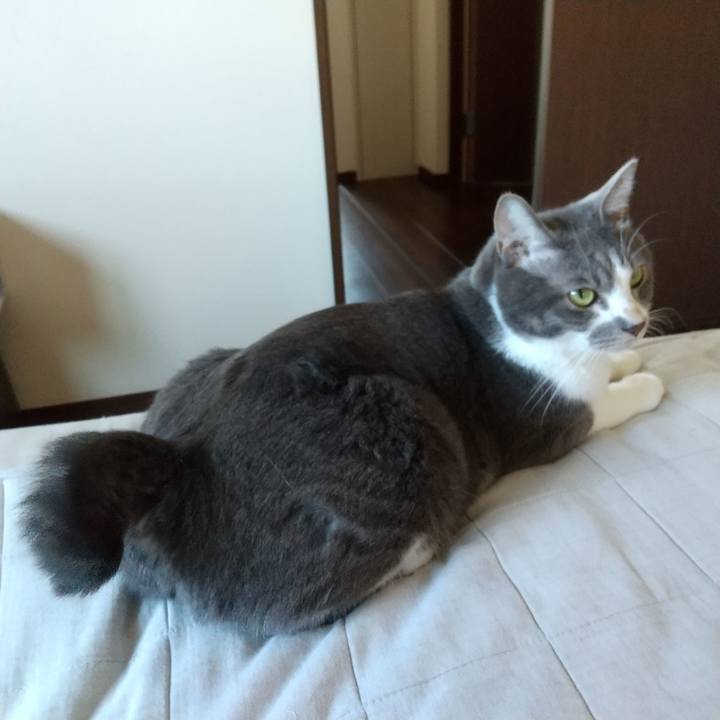 Aabd1931 eedc 4c0f 8a8f acc8068f45f8 1633248491235