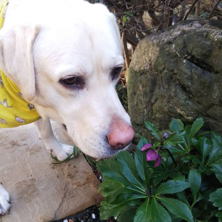 Aabd67e6 69f5 44d6 acd9 a3b299529e49 1550647192462